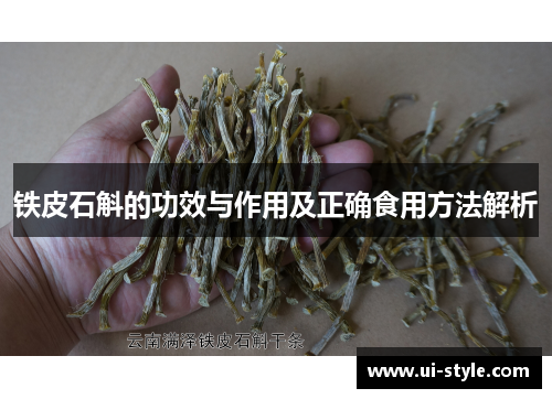 铁皮石斛的功效与作用及正确食用方法解析